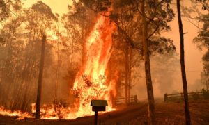California Governor Declares A State of Emergency Over Wildfires