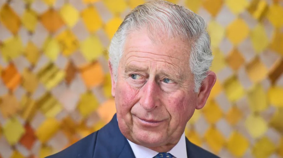 Prince Charles Corona Infection: No One Can Say When it Will Stop, But it Will Stop